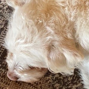 Meet your Posher, Jayne